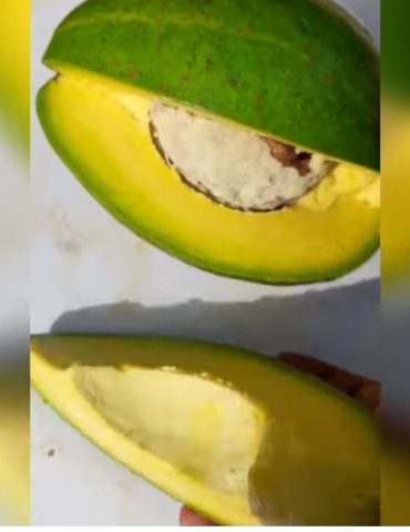 project_comment_file68829b316654a-WhatsApp-Image-2025-07-24-at-9.36.22-PM